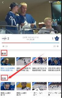 怎么看尾田爆料视频回放,视频回放中的关键信息解析